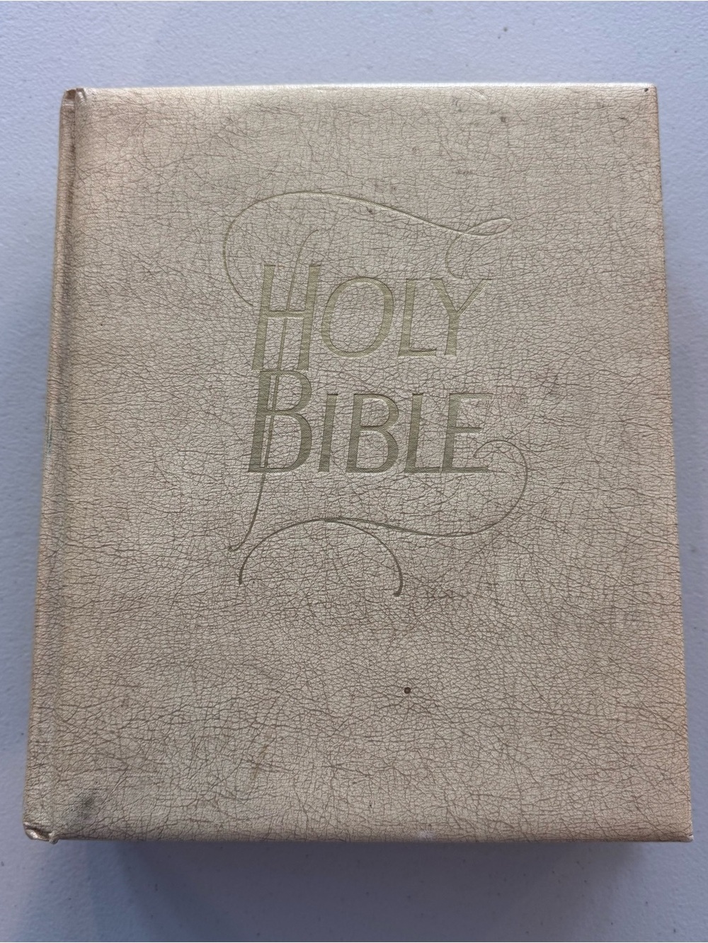 Vintage fo Holy Bible KJV Southwestern Company Large Illustrated Family Bible 19